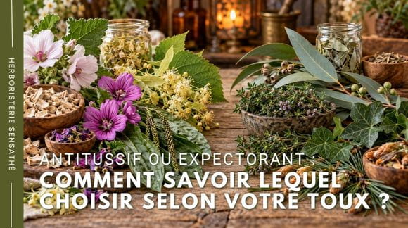 comment savoir lequel choisir selon votre toux - Herboristerie Sensathé